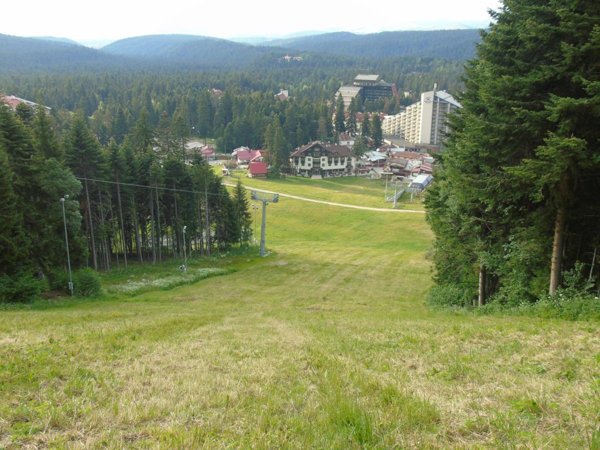 Хотел Флора Private Studio All Seasons Lejlighed Borovets Eksteriør billede