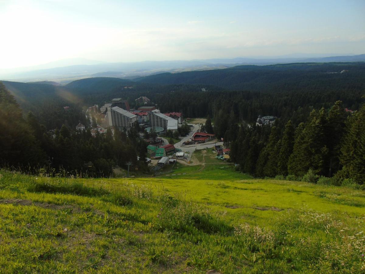 Хотел Флора Private Studio All Seasons Lejlighed Borovets Eksteriør billede